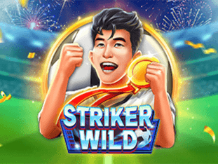 Striker Wild game icon